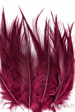 Gru comune - 12-14 cm - bordeaux